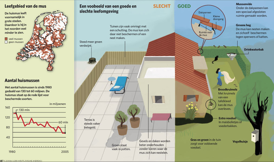 infographic huismus
