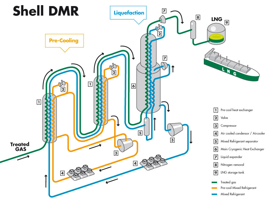 infographic shell dmr